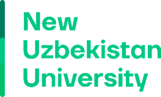 Yangi O'zbekiston universiteti